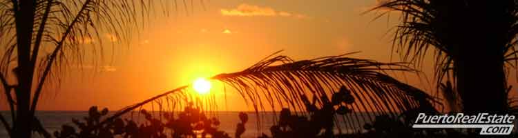 Beach Sunset