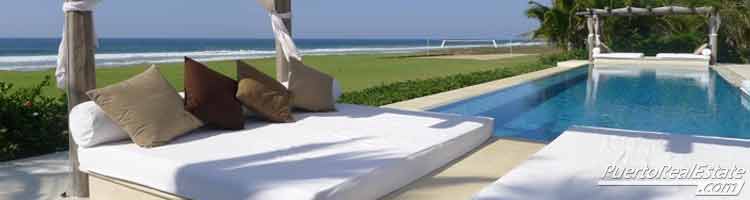 palm tree infinity pool