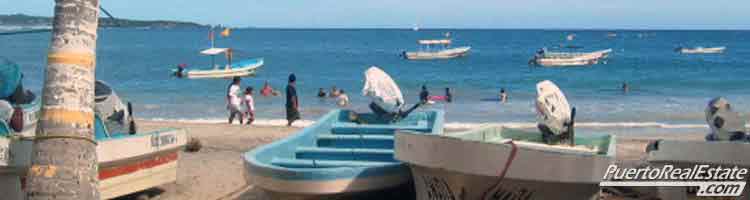 dolphin sightseeing boats