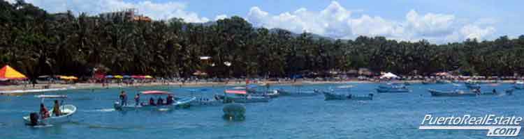 Fishing boats