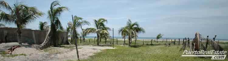 Zicatela Beach Property