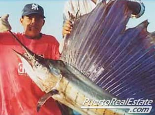 Sailfish sport fishing